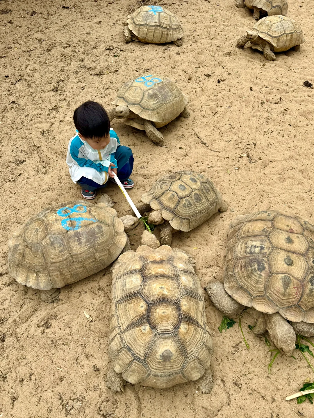 迄今为止...暑假最适合亲子游的城市出现了！