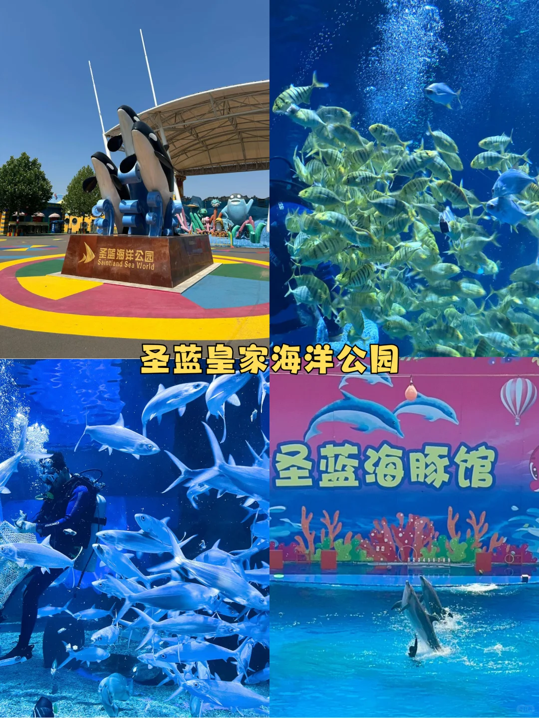 ✨北戴河+承德+乌兰布统五天四晚怎么玩❓