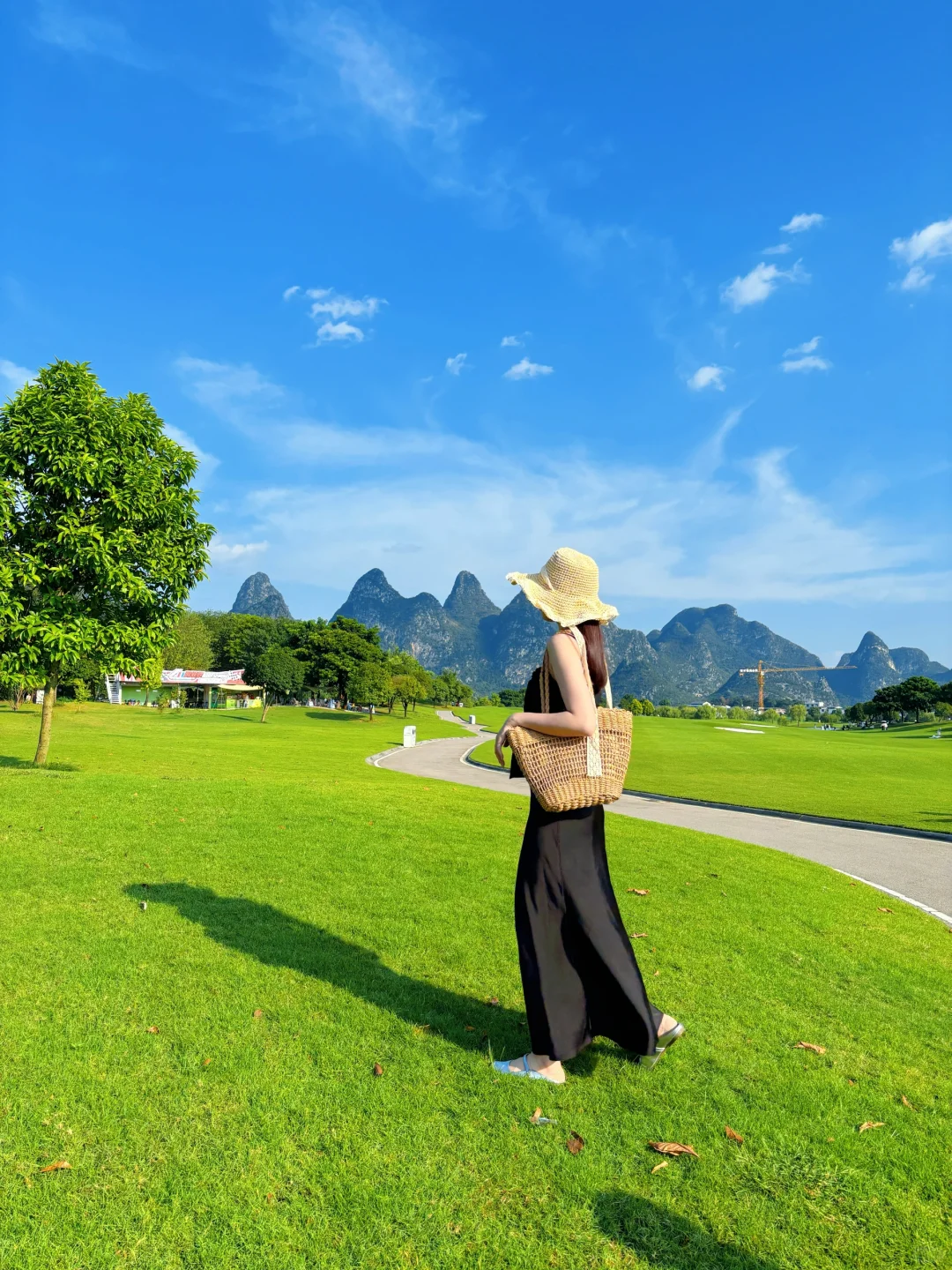 桂海晴岚💚——满满的生命力！！！