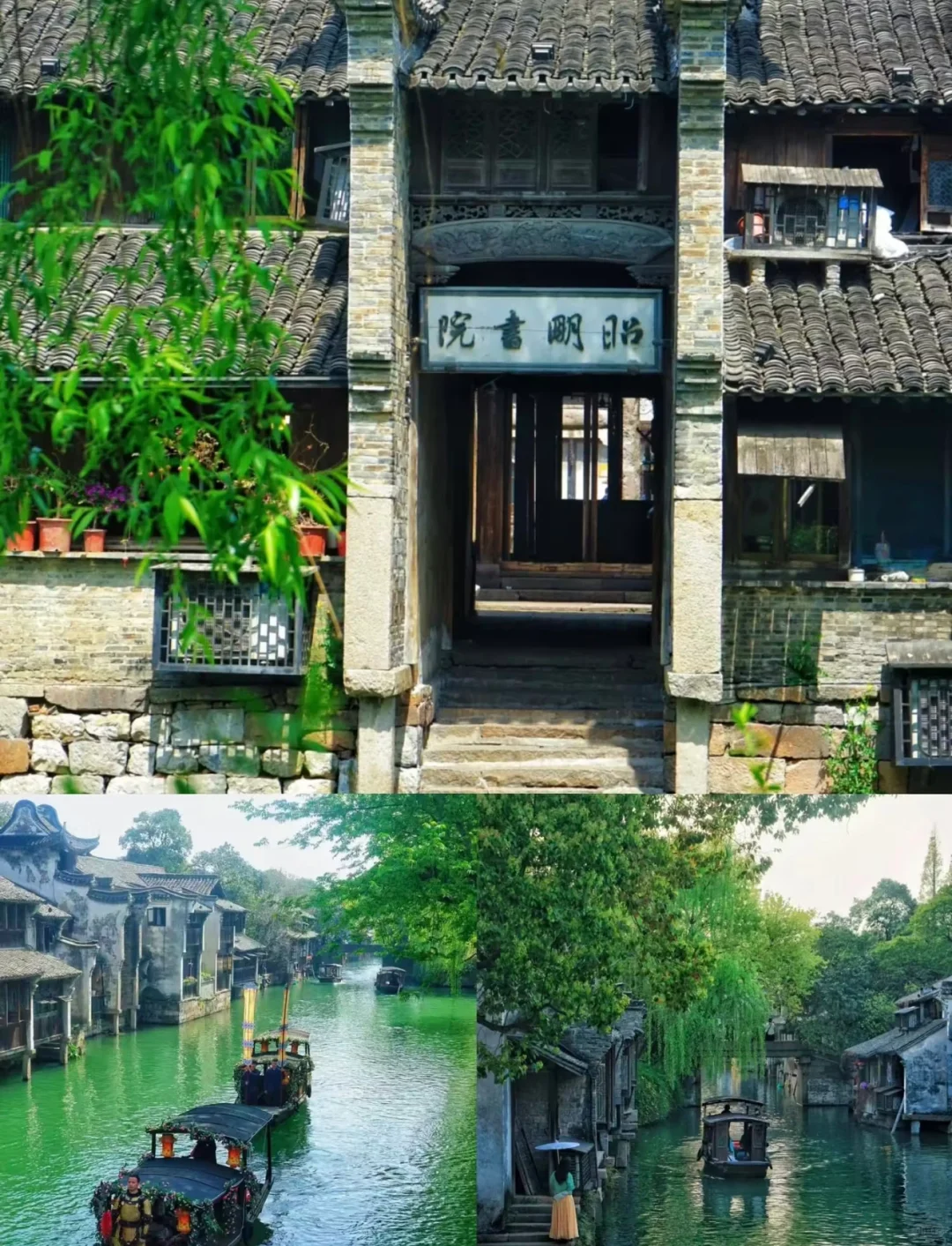 🌈乌镇 |6-7月份淡季来真的很香，人少景美！