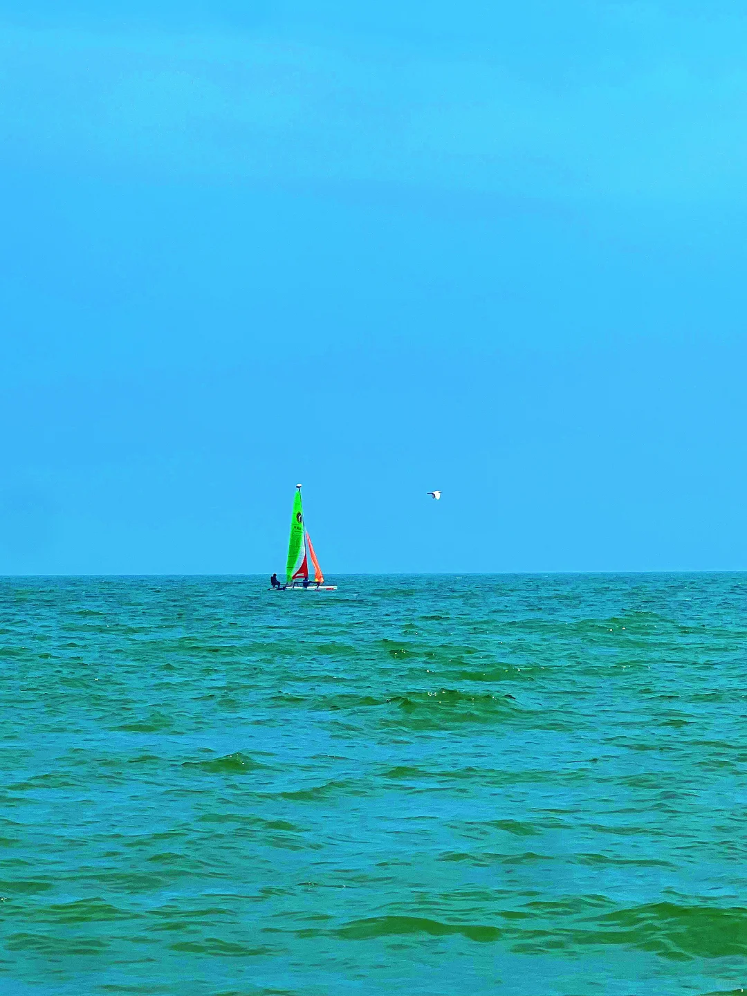 潮汕旅游小众海岛打卡~汕尾