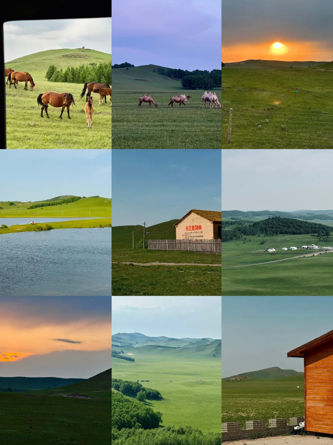 这么近！那么美！