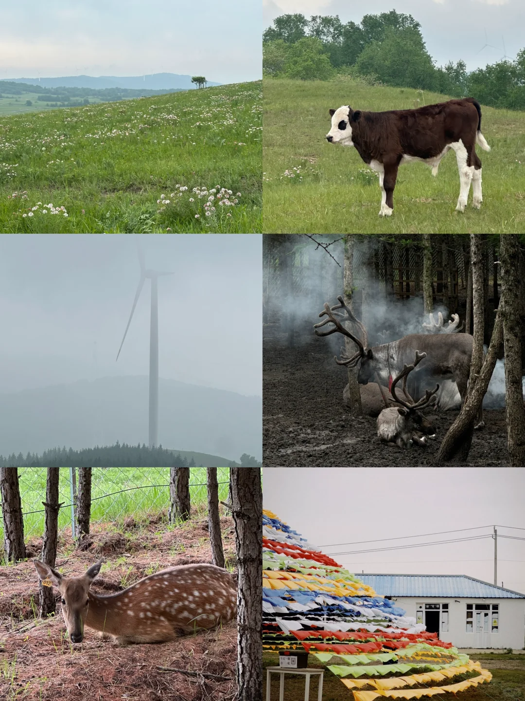 这么近！那么美！