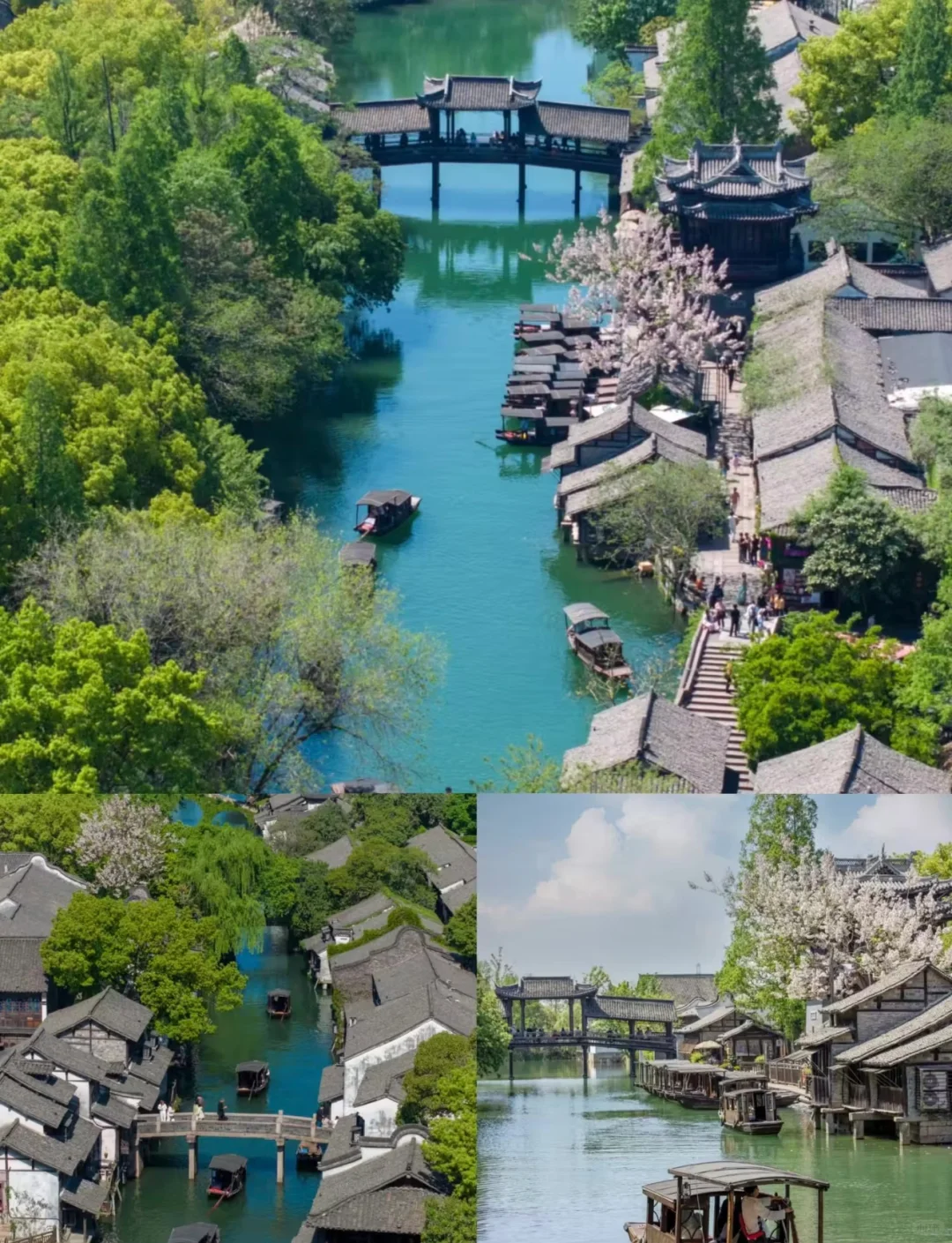 🌈乌镇 |6-7月份淡季来真的很香，人少景美！
