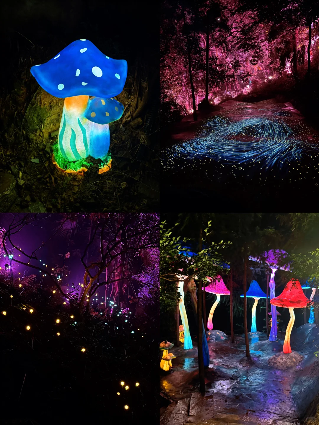 婺源两天一晚旅游攻略 拍照晒秋超详细路线