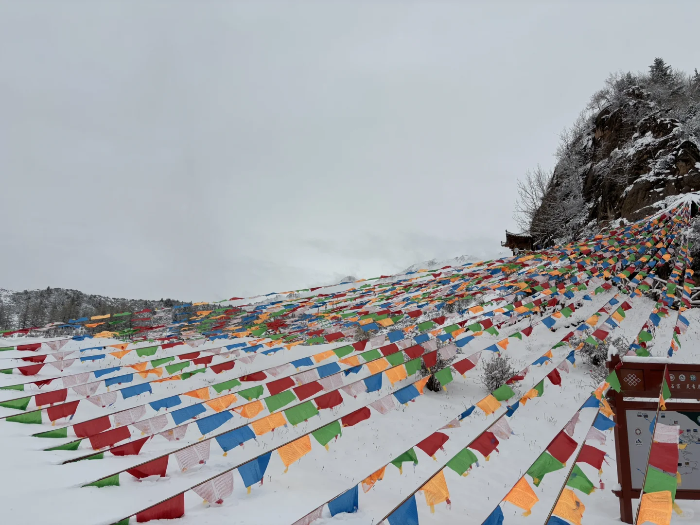 甘肃八日游太震撼了