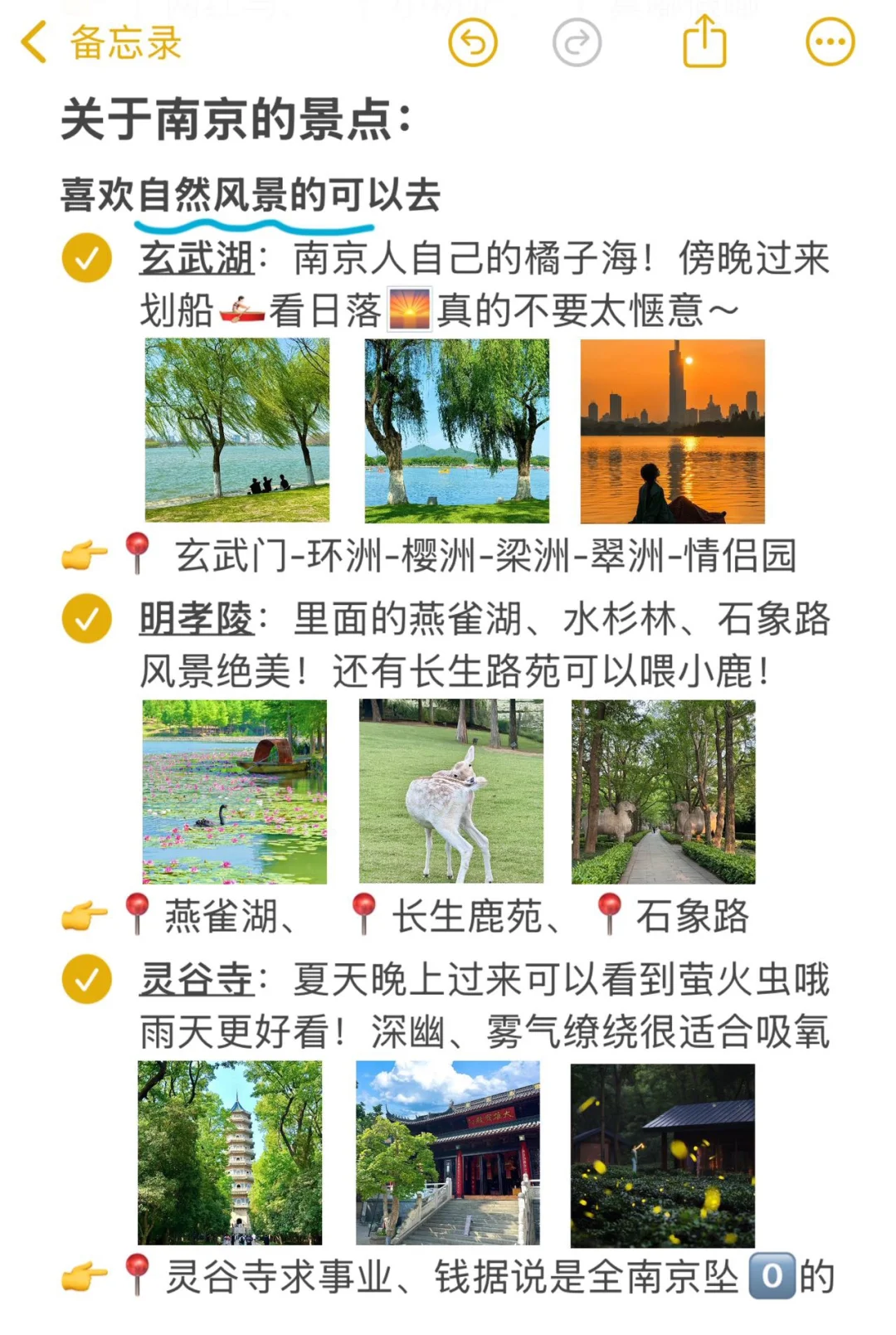南京本地人写的旅游攻略