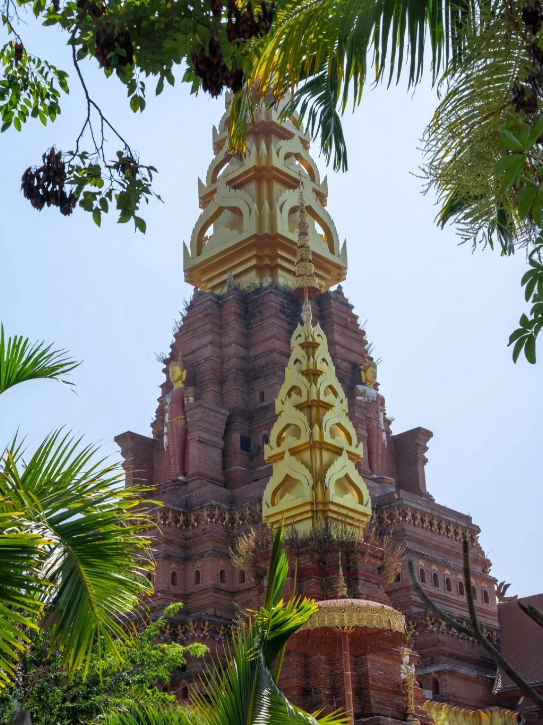 西双版纳，年轻人的快乐老家！