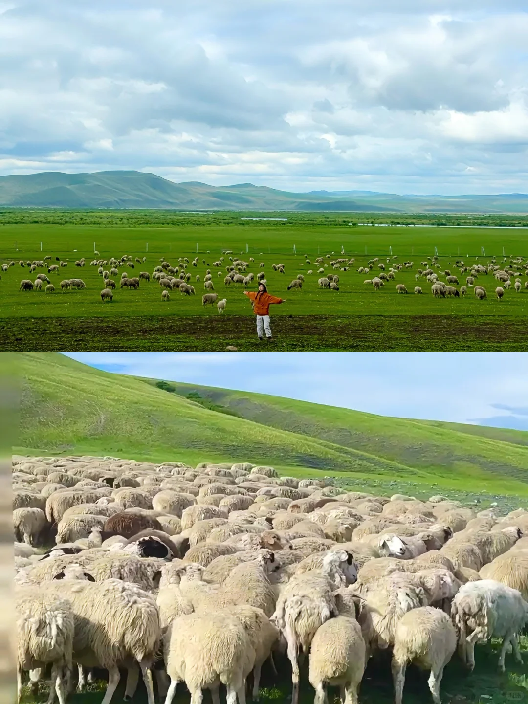 拜托🙏去呼伦贝尔遛娃一定要看这篇‼️全干货