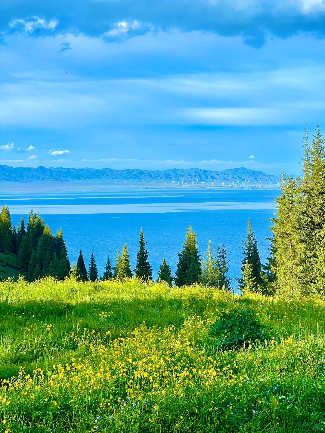 真不输瑞士😭😭初夏的赛里木湖美翻了‼️