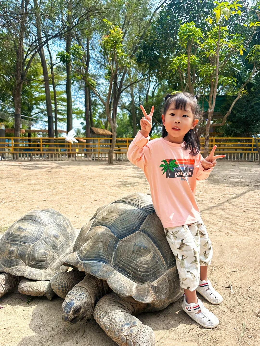 今年暑假，我只带娃去一个地方：陵水！