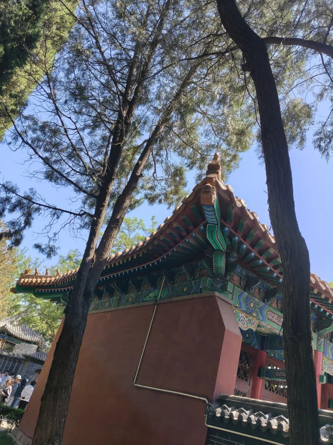 邯郸一日游| 穿梭三千年，解锁成语之都的魅