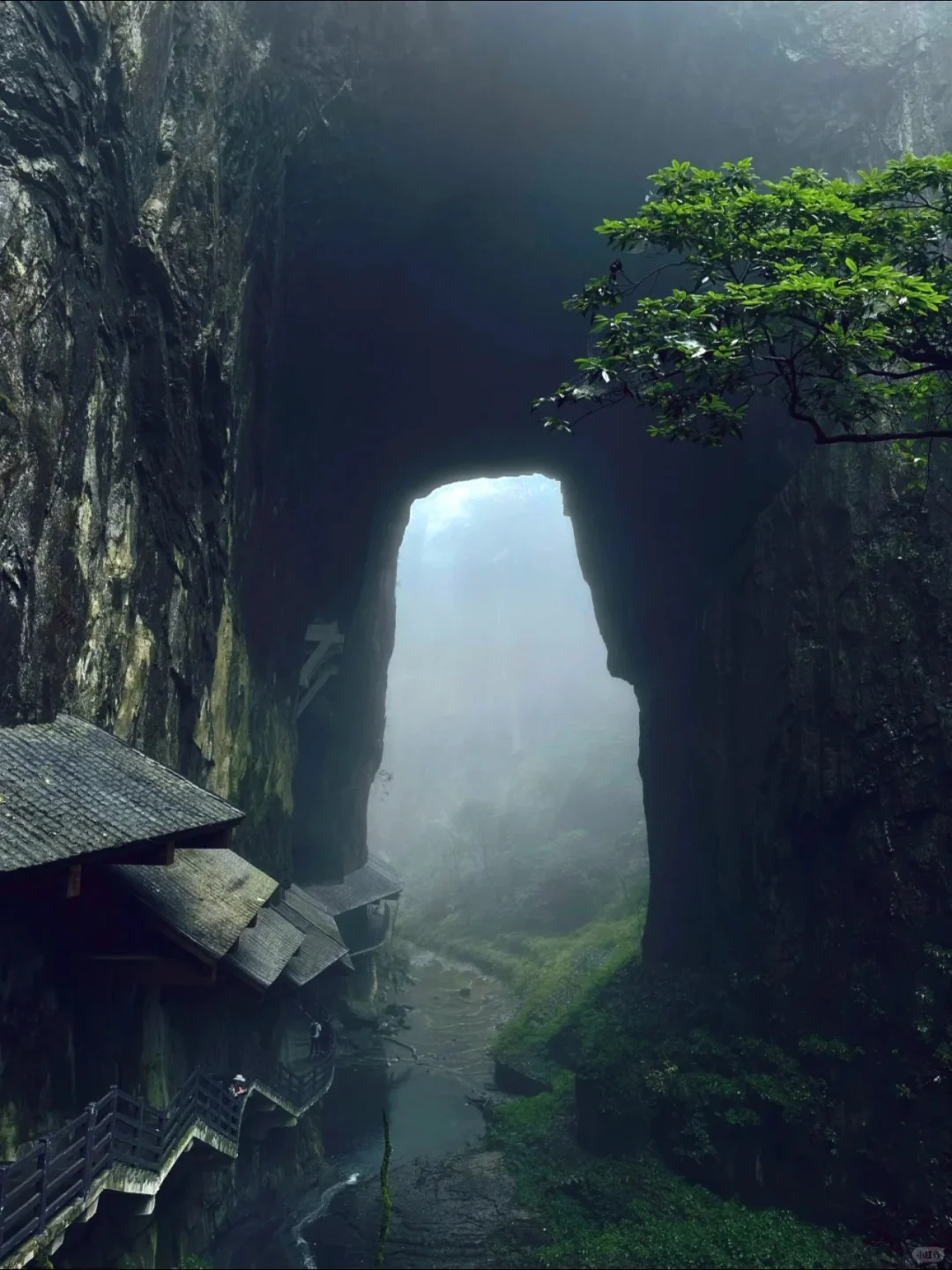 🌄恩施5日游，避暑秘境真实体验‼️