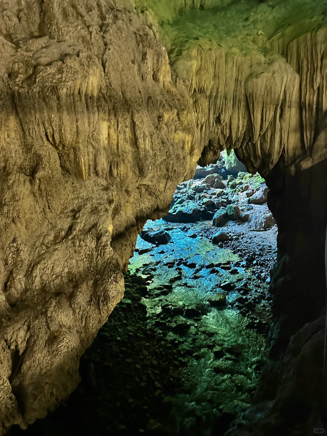 不是国外！中国人自己的侏罗纪原始密林