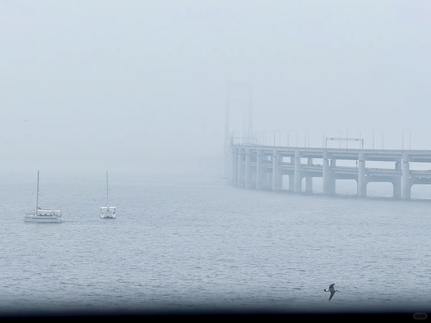 晴雨不定的大连，或许更适合碎片化旅游