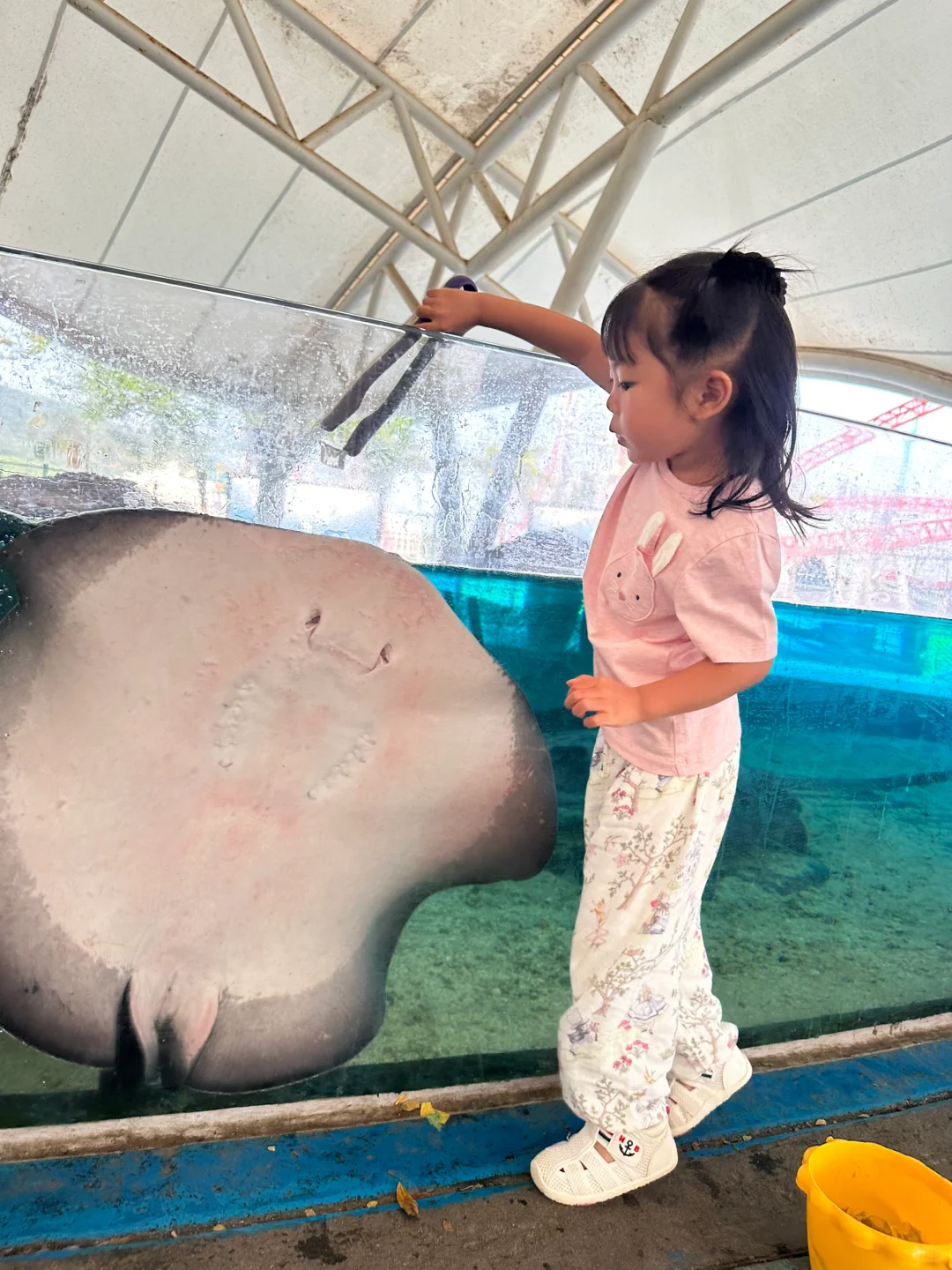 今年暑假，我只带娃去一个地方：陵水！