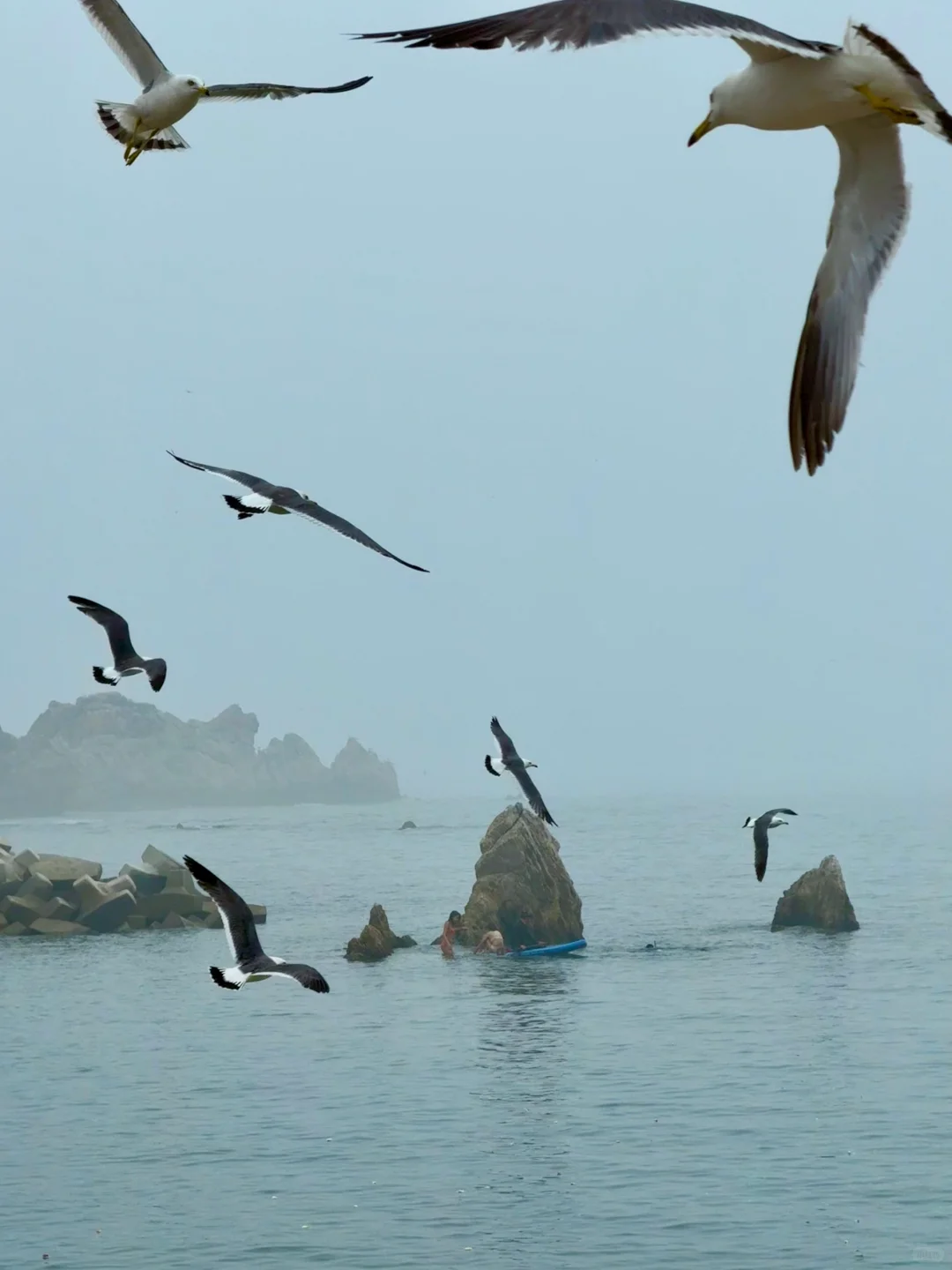 晴雨不定的大连，或许更适合碎片化旅游