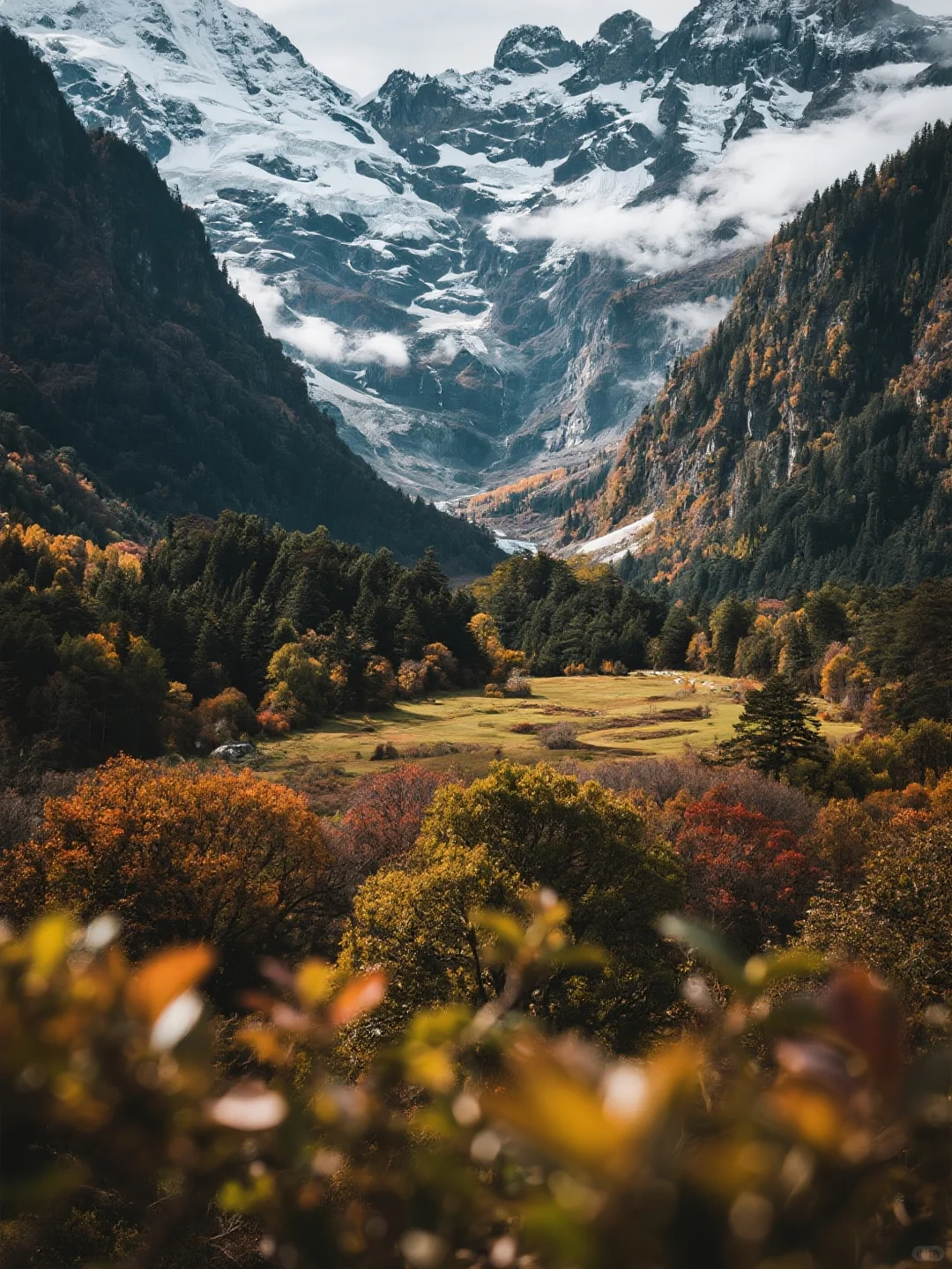 救命！雨崩的四季美到犯规！