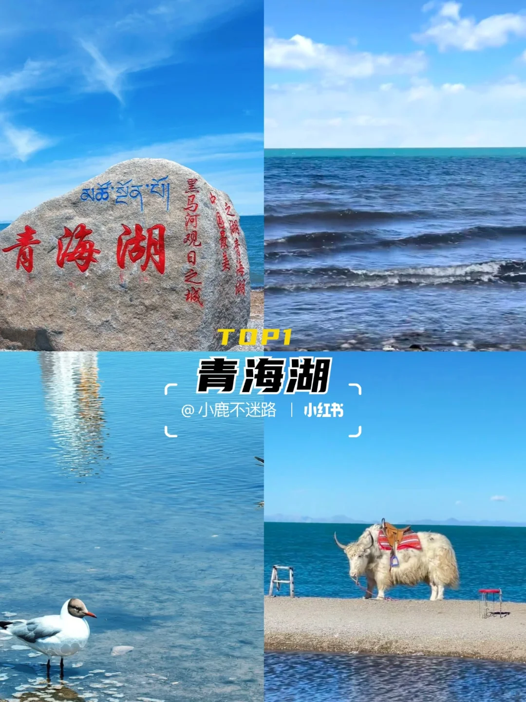 青海必去9大热门景点！美到窒息，此生必打卡！