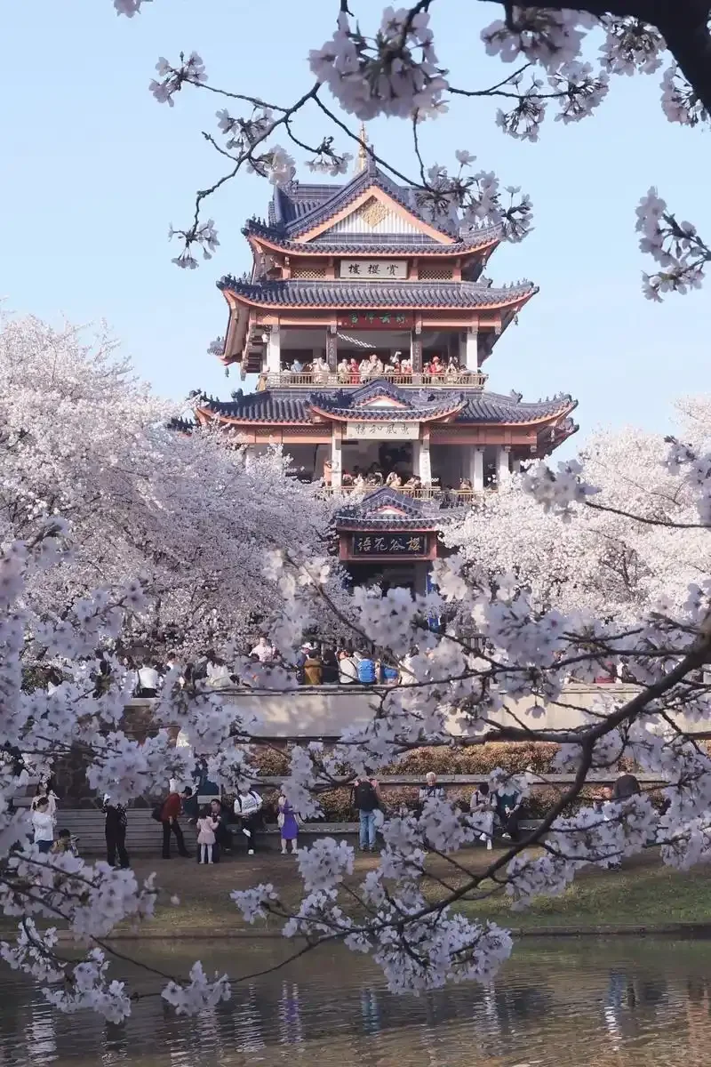 【江苏10大必打卡景点！玩转水乡不迷路】