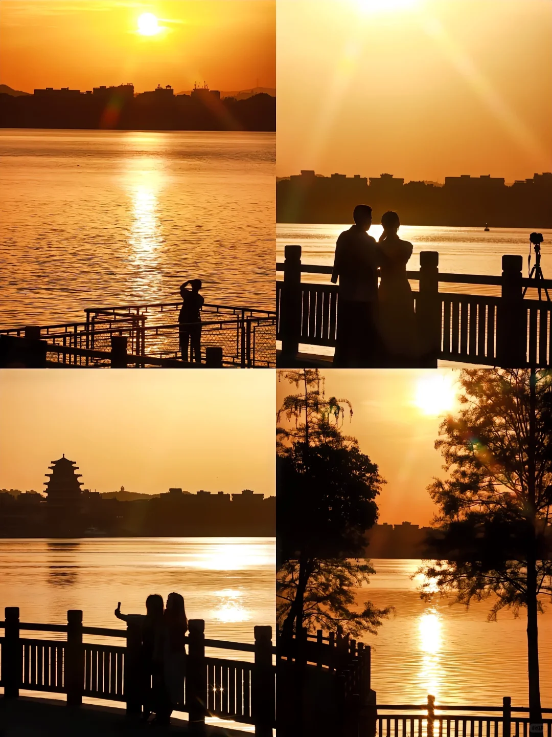 为了这9️⃣张图｜我特地飞了一趟惠州‼️