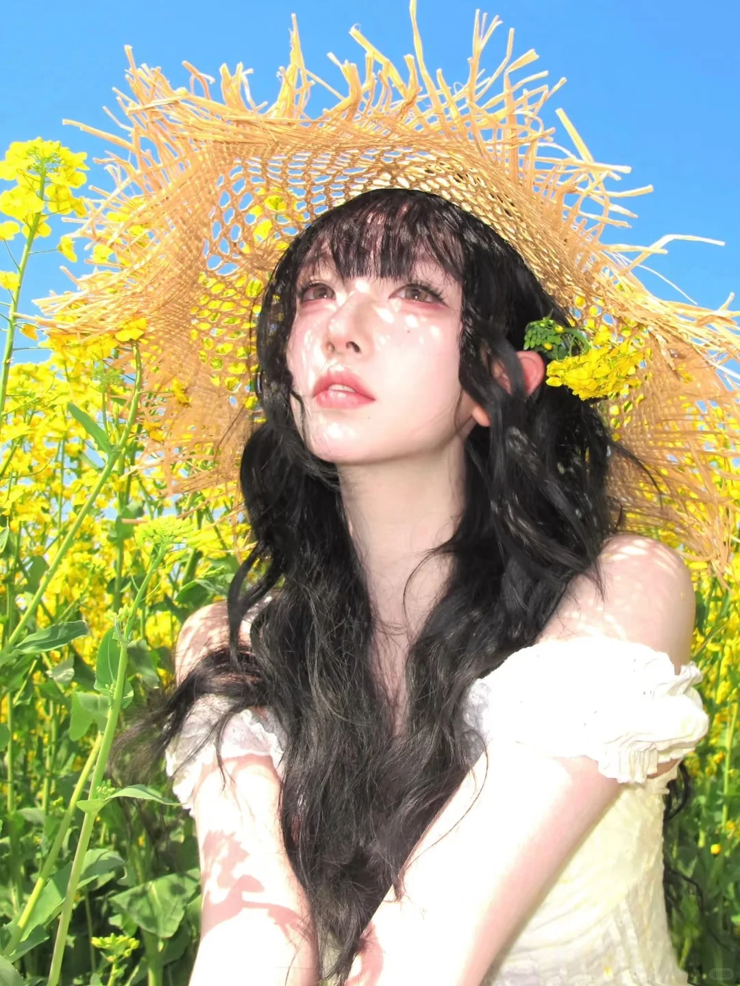 不是洱海去不起，而是赛博旅游更有性价比