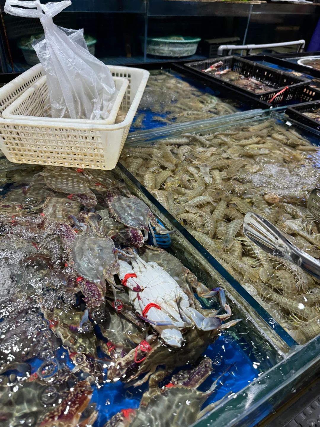 和妈妈的威海之旅结束啦