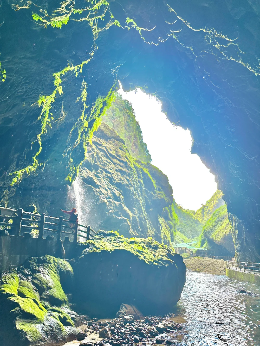 不是国外！中国人自己的侏罗纪原始密林