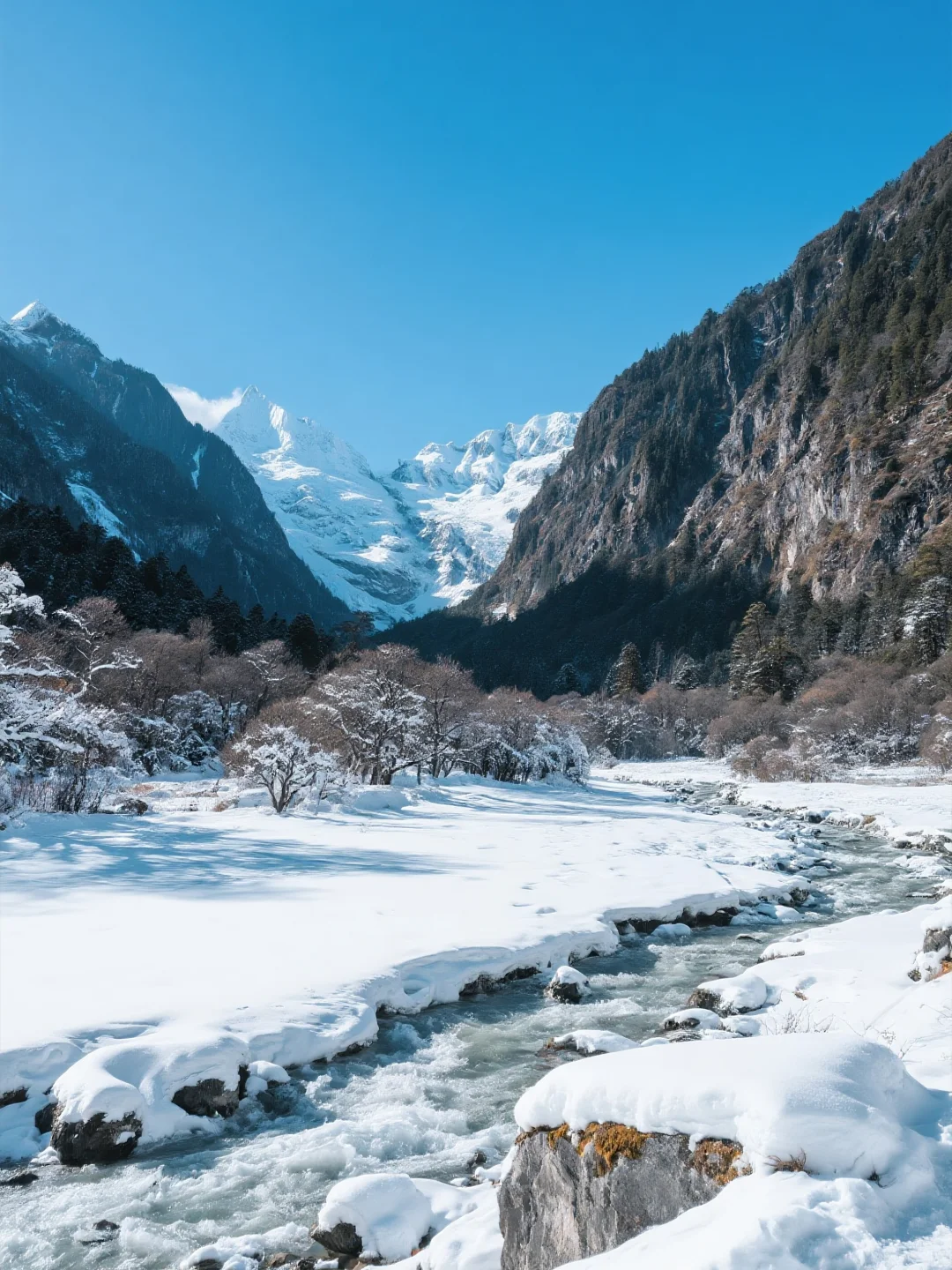 救命！雨崩的四季美到犯规！