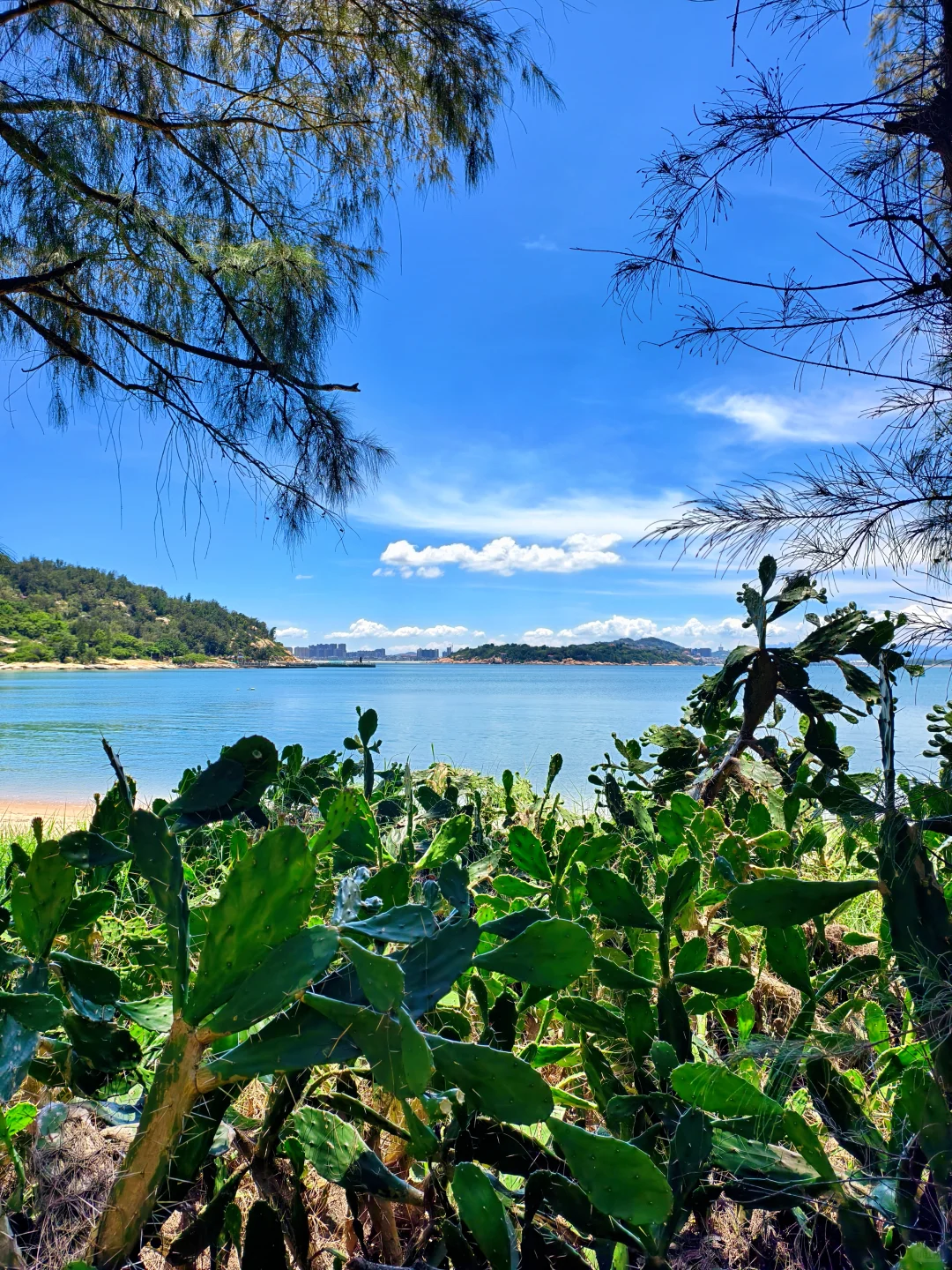 美疯了！值得一去再去的东山岛东门屿