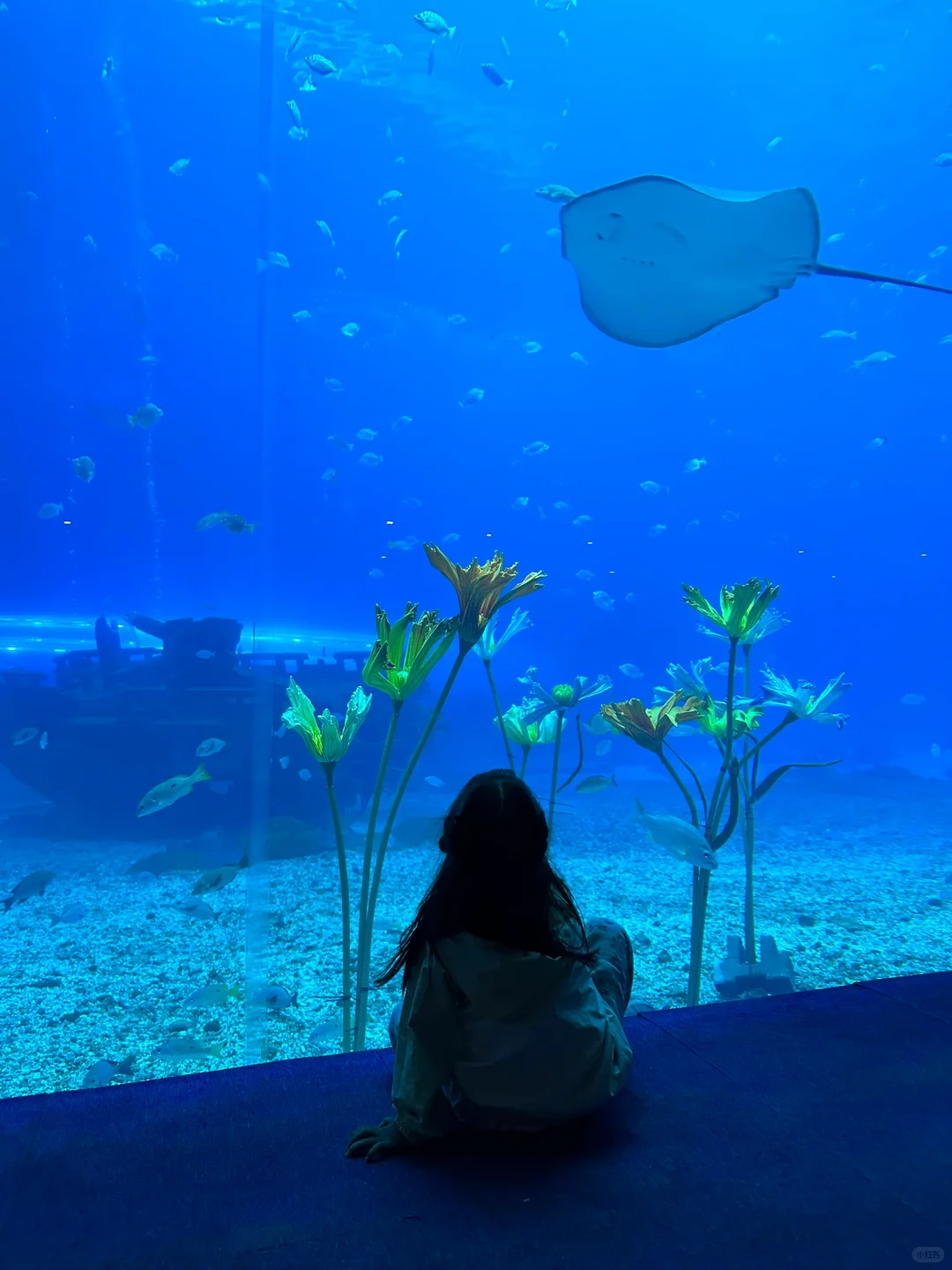 今年暑假，我只带娃去一个地方：陵水！