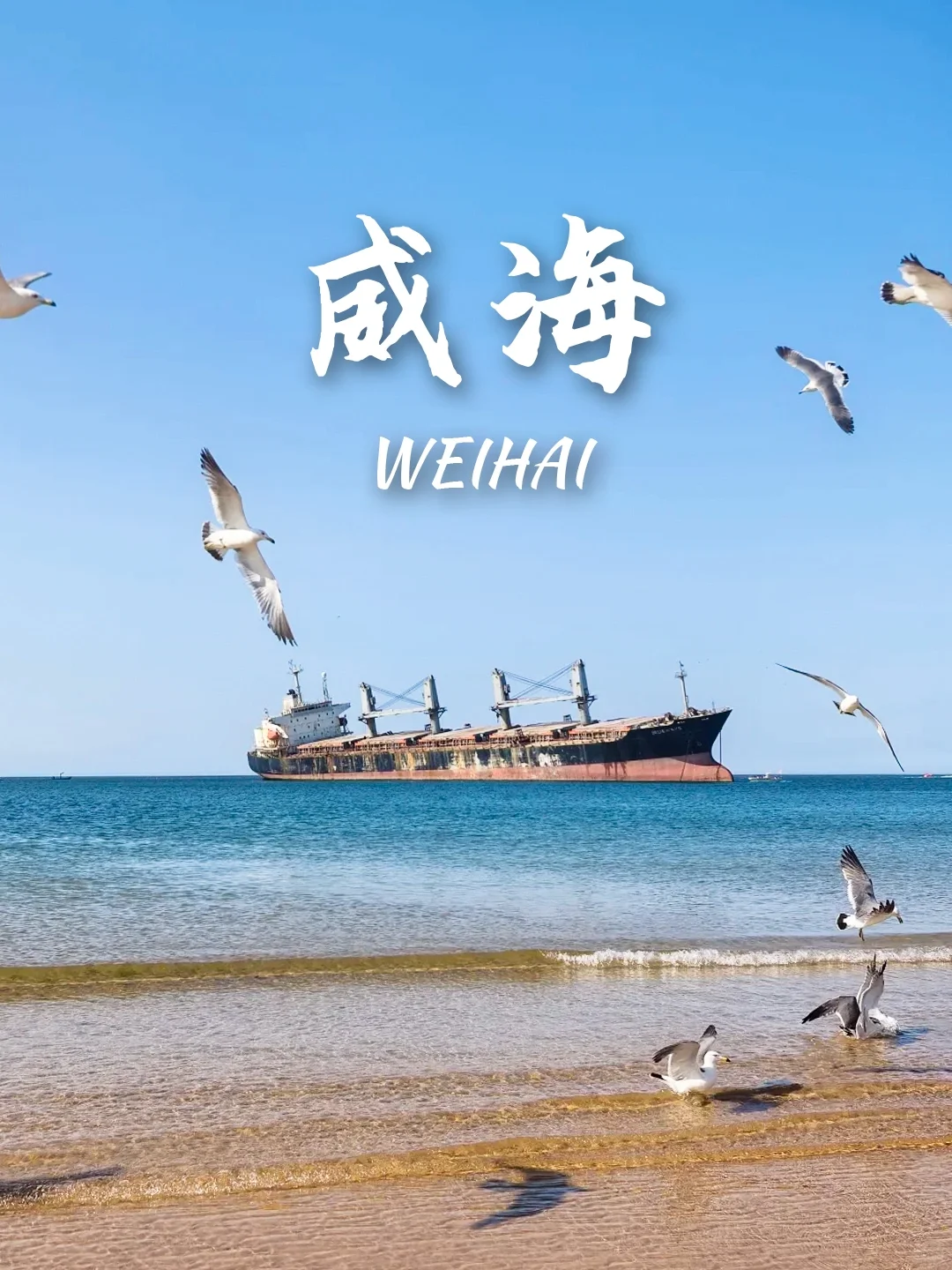 9个高铁直达超美海岛‼️夏天就是要看海呀