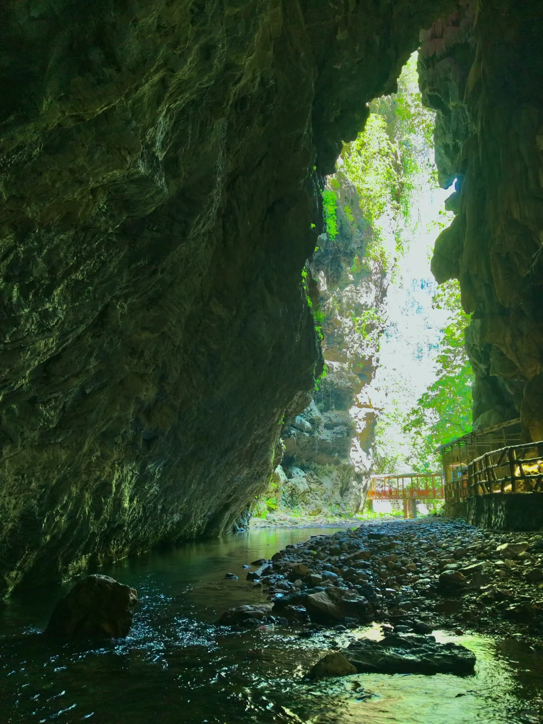 不是国外！中国人自己的侏罗纪原始密林
