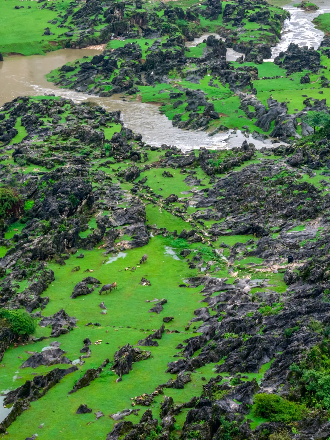 后悔才来！贵州被严重低估的避暑小城！！