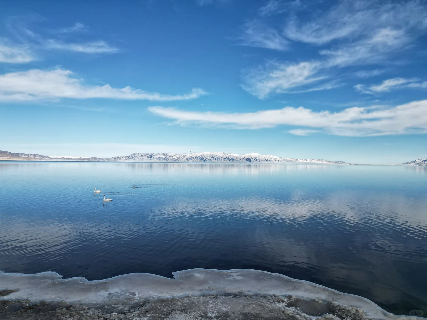 赛里木湖超详细游玩攻略，速收藏✅