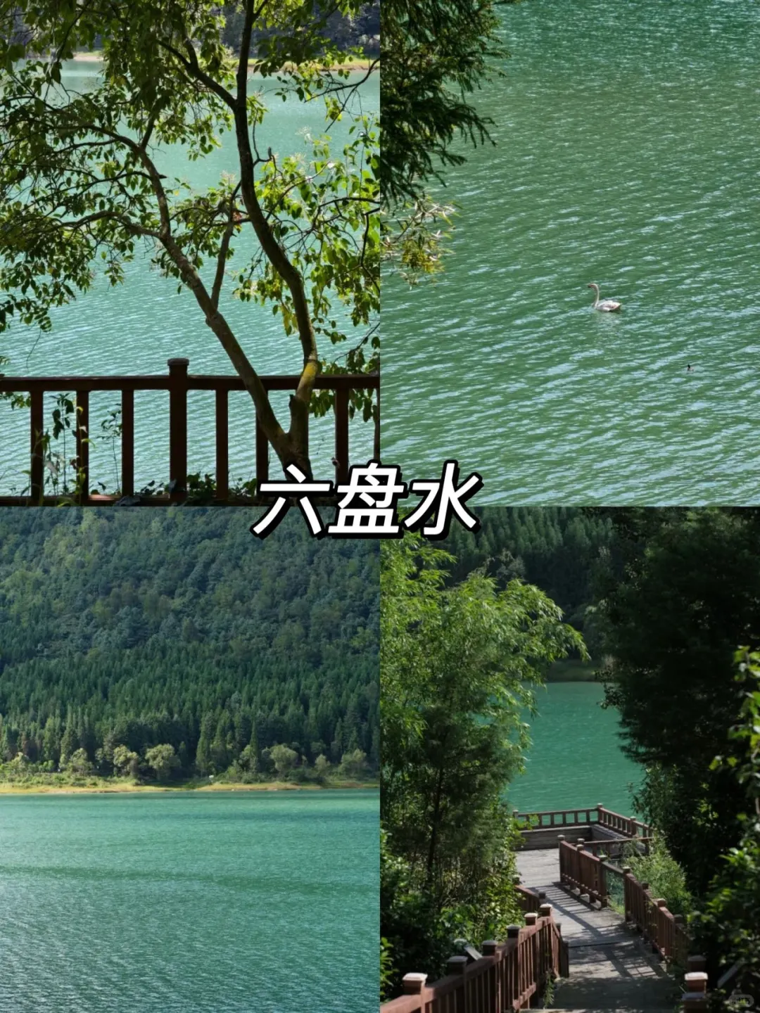 6-8月反向旅游5个避暑胜地推荐✅