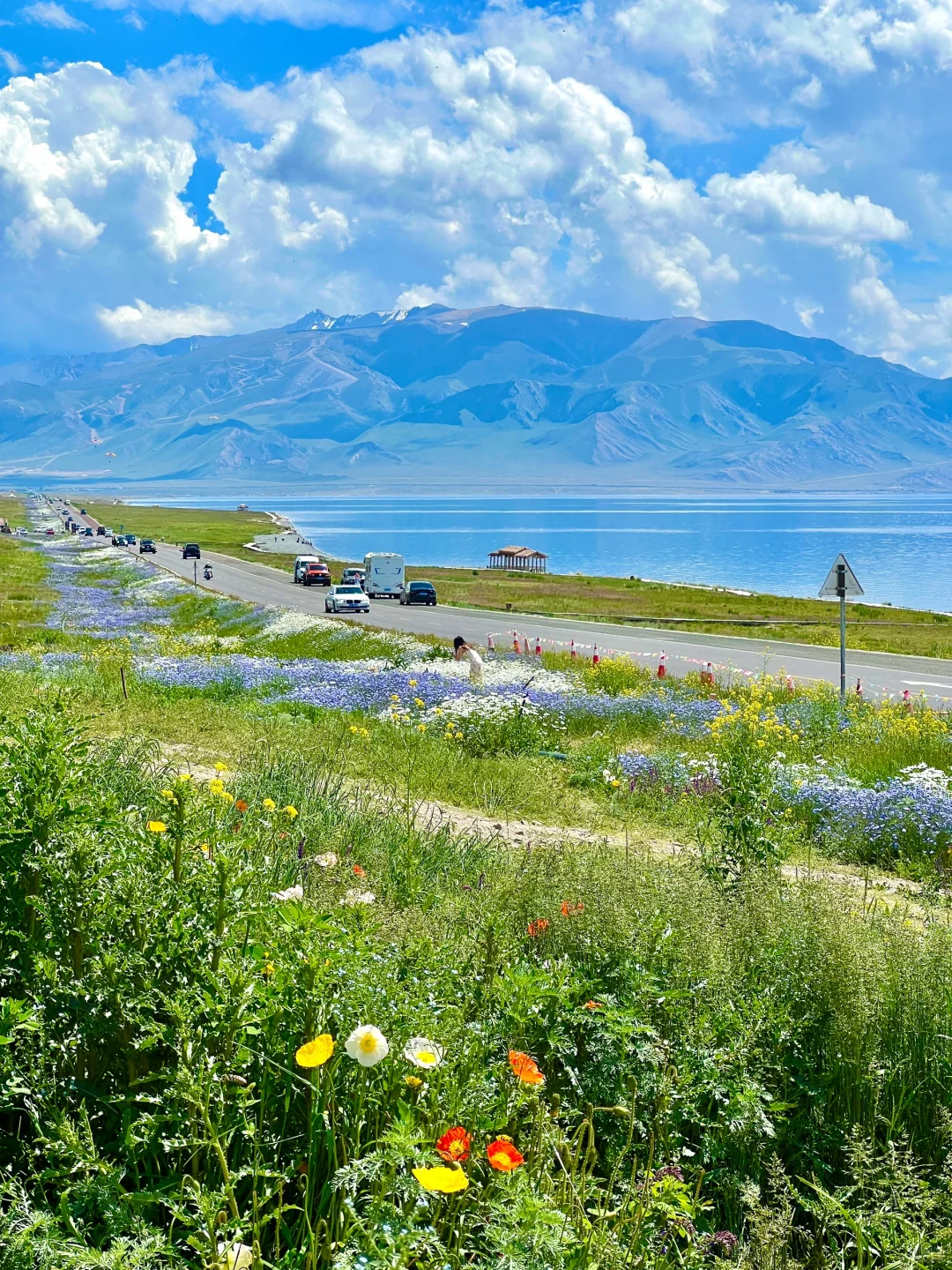 真不输瑞士😭😭初夏的赛里木湖美翻了‼️