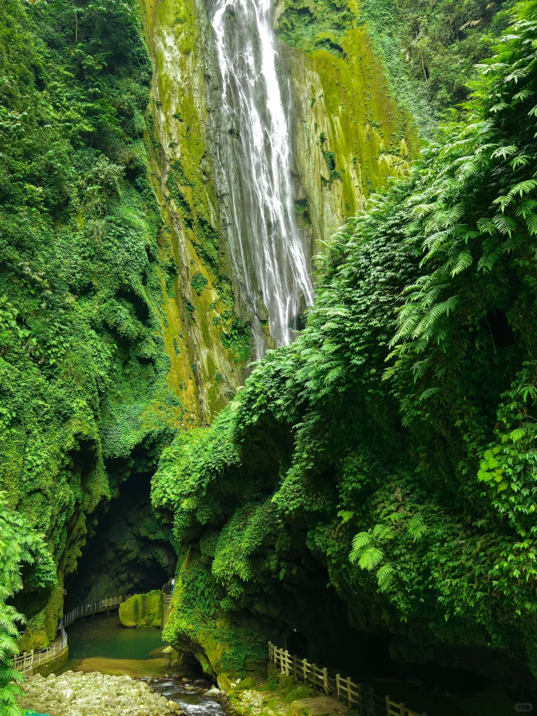 不是国外！中国人自己的侏罗纪原始密林