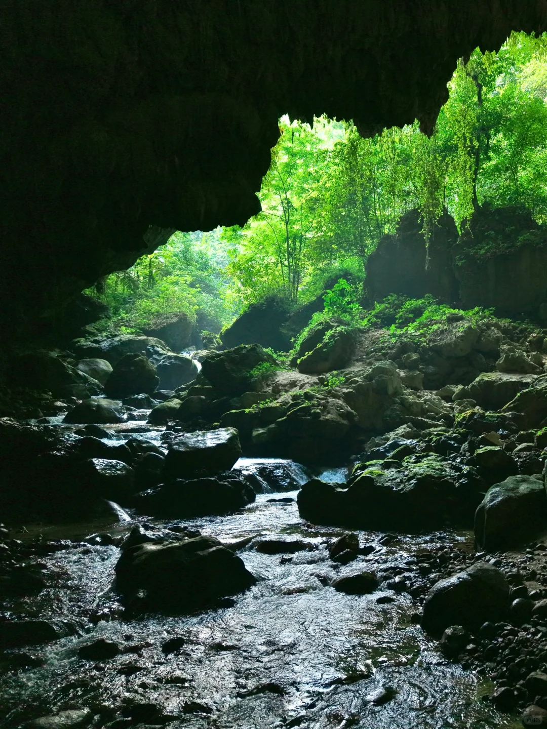 不是国外！中国人自己的侏罗纪原始密林