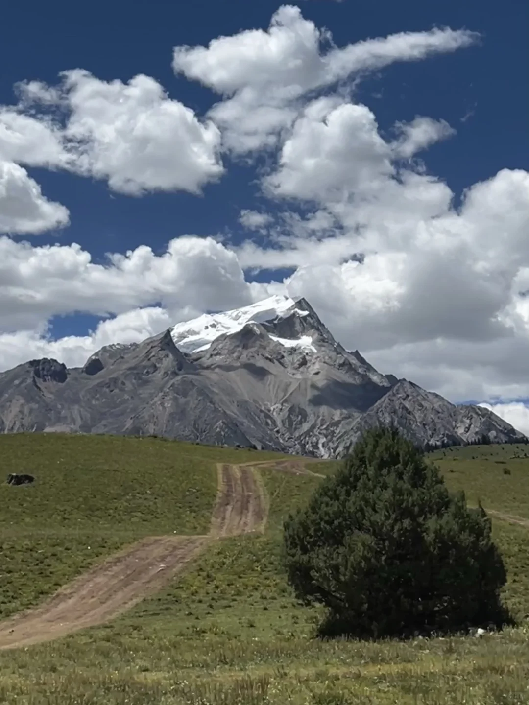 实话难听，但这就是7-8月川西真实现状…