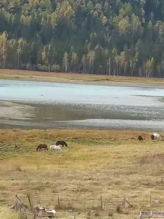 关于旅行的意义，这是我听过蕞好的诠释