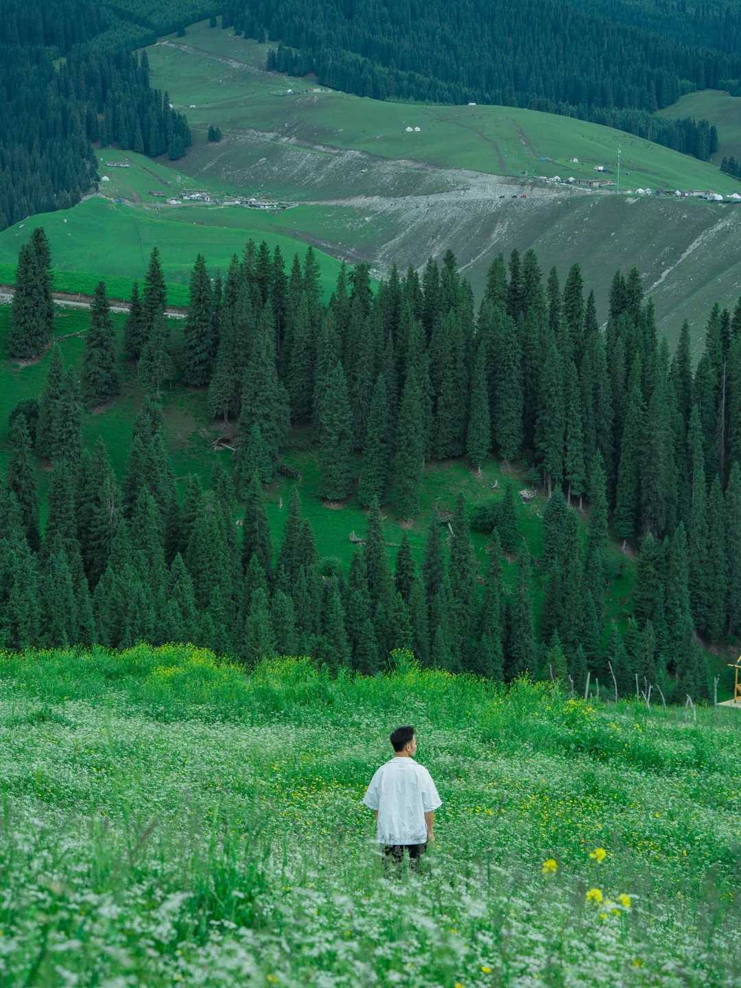 任何人错过夏天🌲的新疆，我都会伤心的