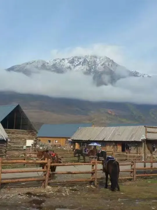 关于旅行的意义，这是我听过蕞好的诠释