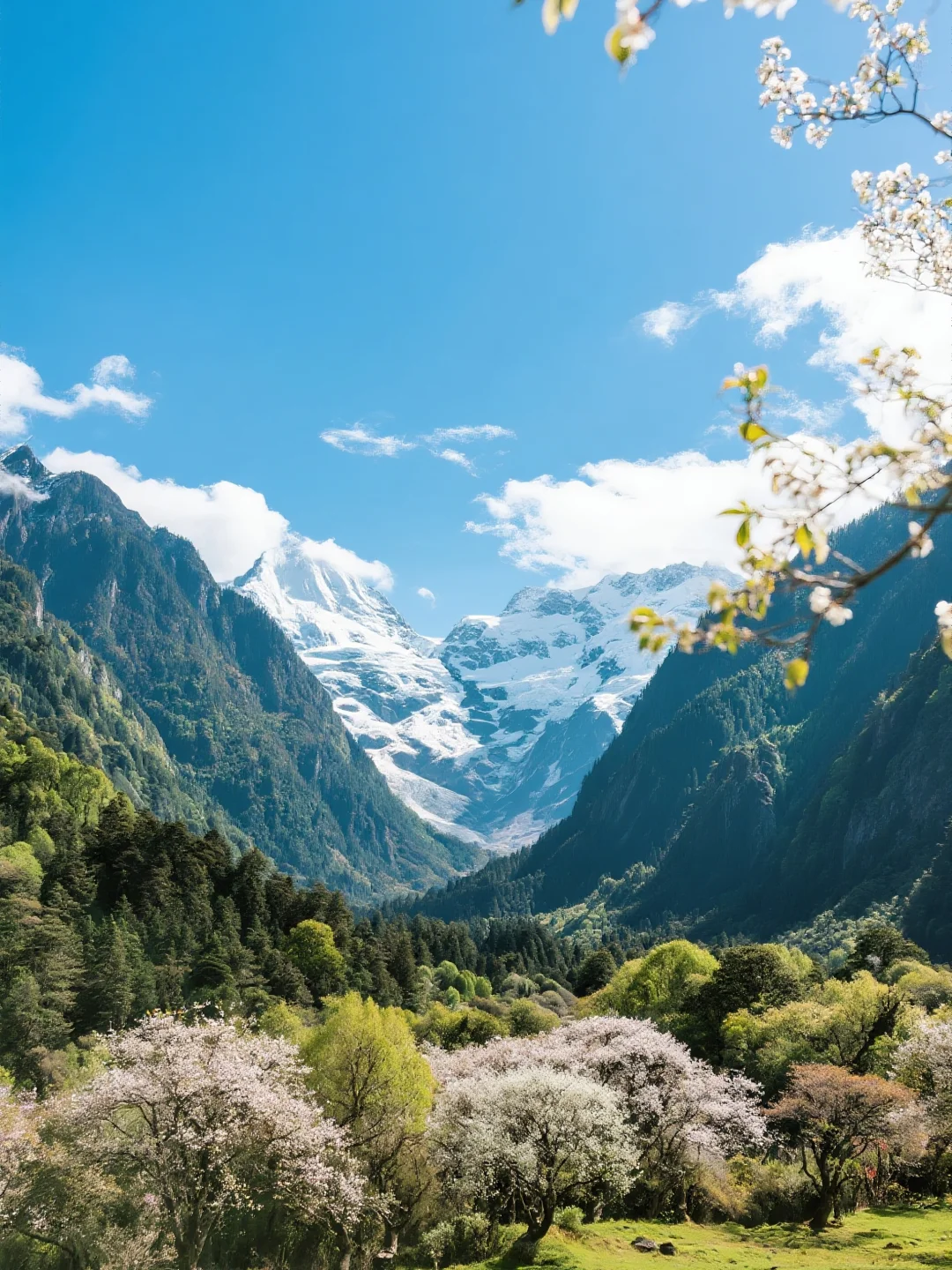 救命！雨崩的四季美到犯规！