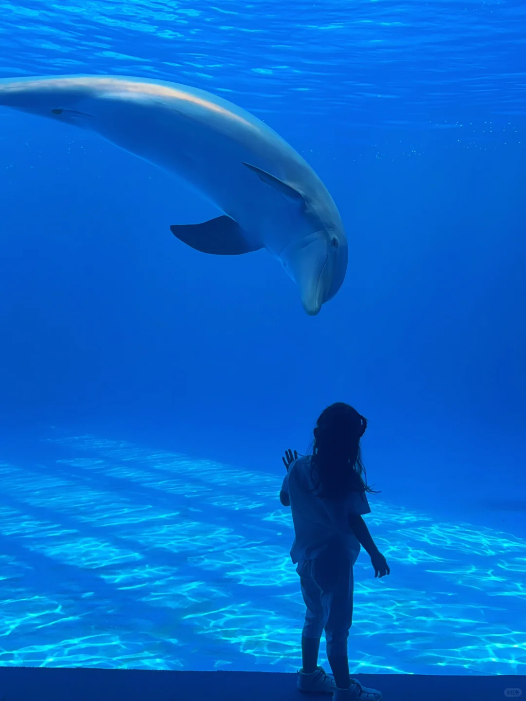 今年暑假，我只带娃去一个地方：陵水！