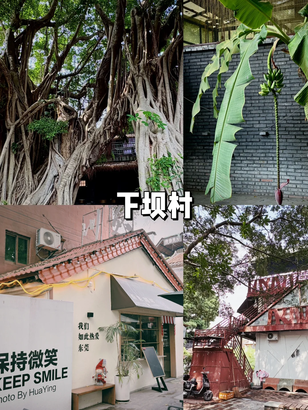 东莞2日游完攻略‼️ 吃喝玩全记录🍜