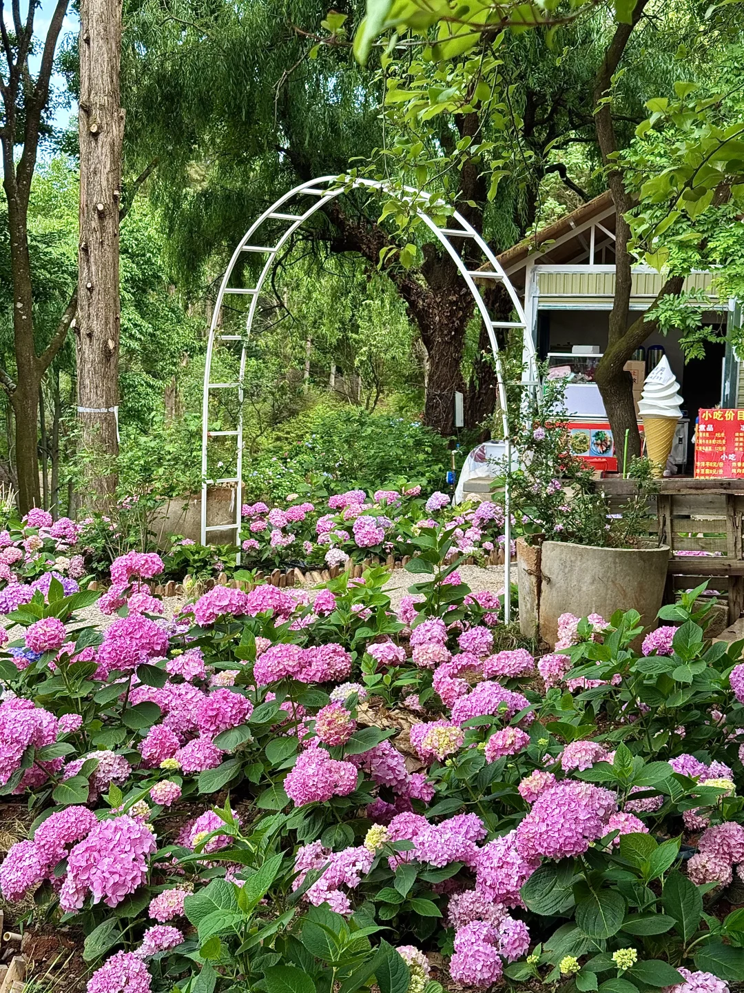 昆明…果然最牛逼的地方都是免费的！（合集）