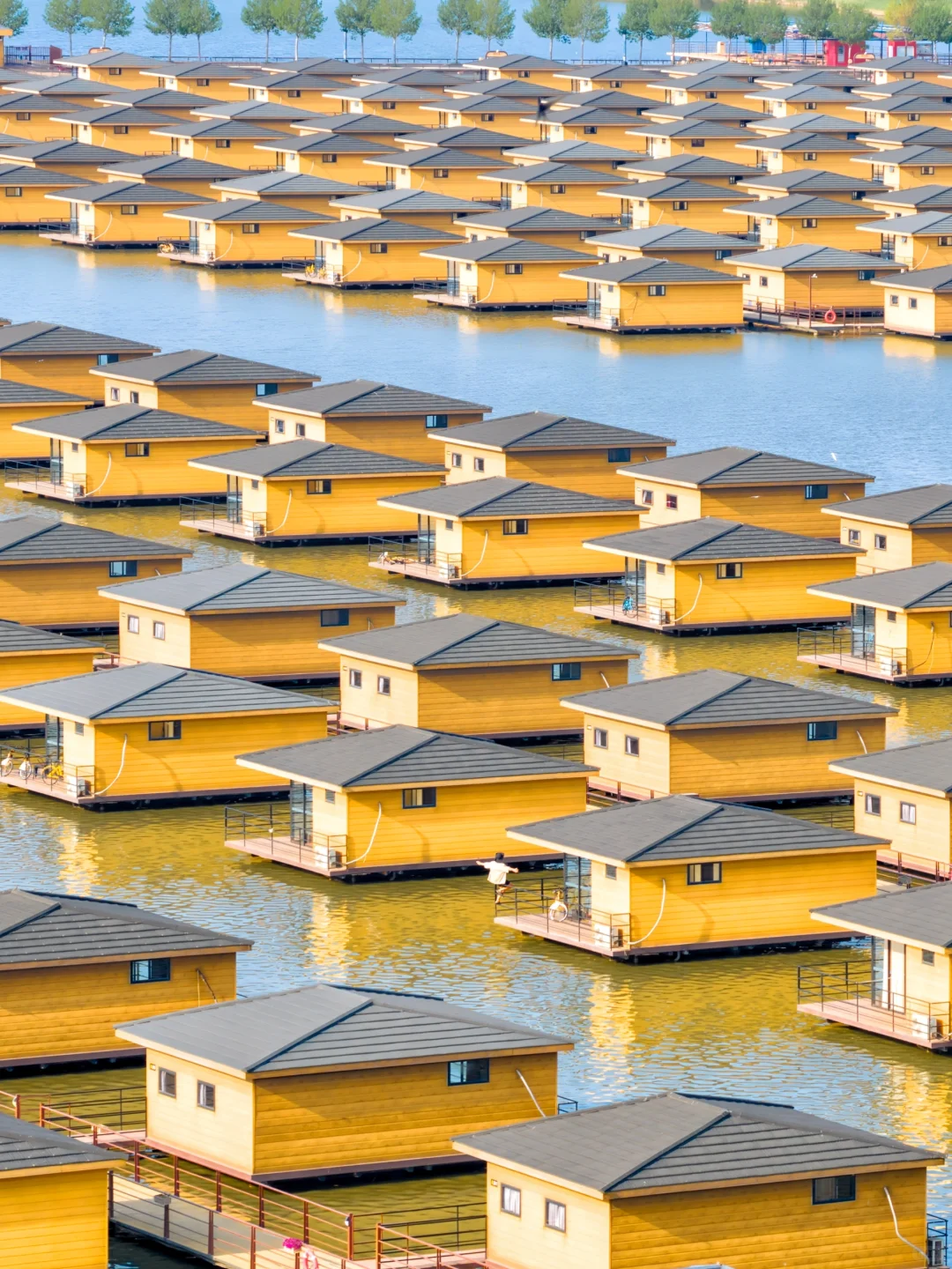 那么近那么美，我的理想lalaland在河北🏖️