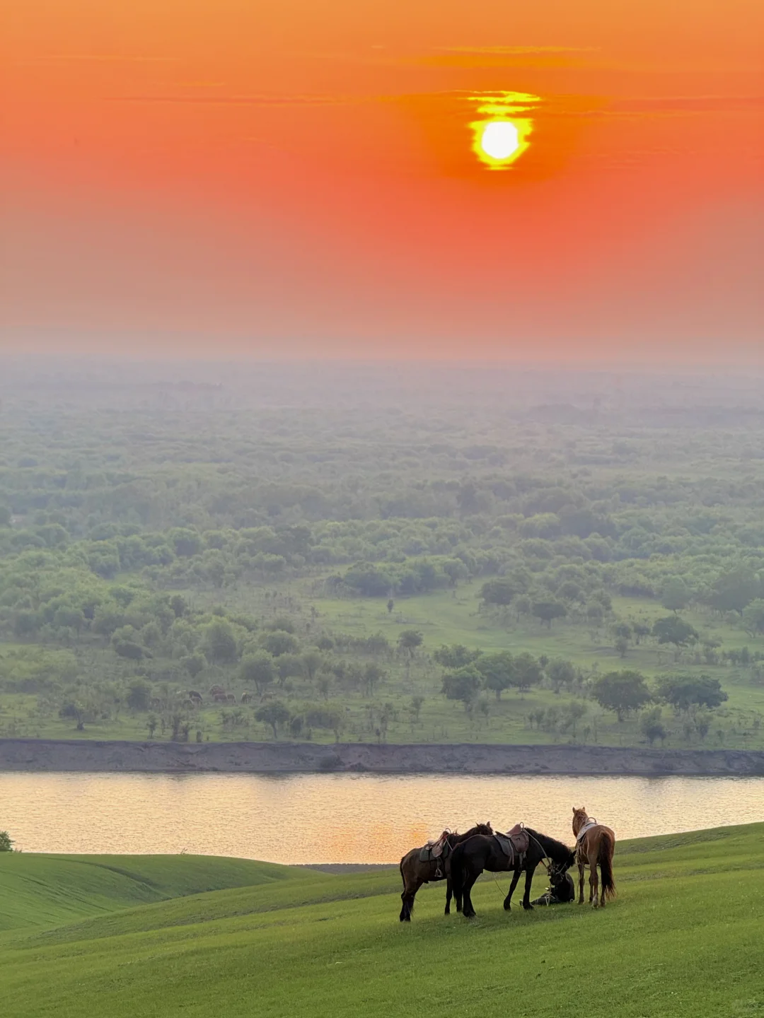 live｜不敢相信草原的尽头是大海！