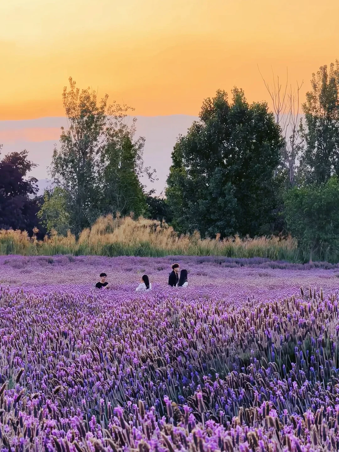 昆明…果然最牛逼的地方都是免费的！（合集）
